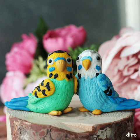 Love Bird Budgies